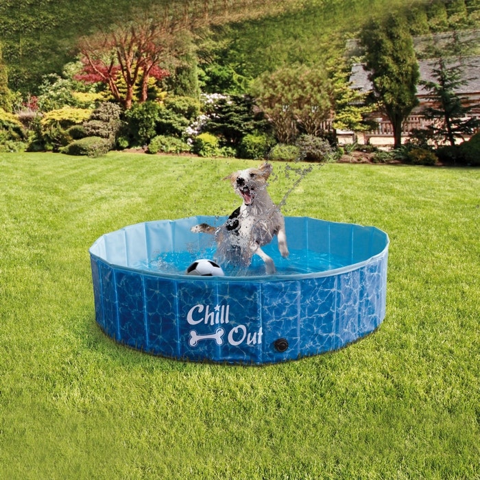 Chill out dog clearance pool