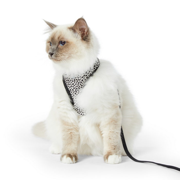 All Day Spot It Cat Harness Lead Set Monochrome Petbarn