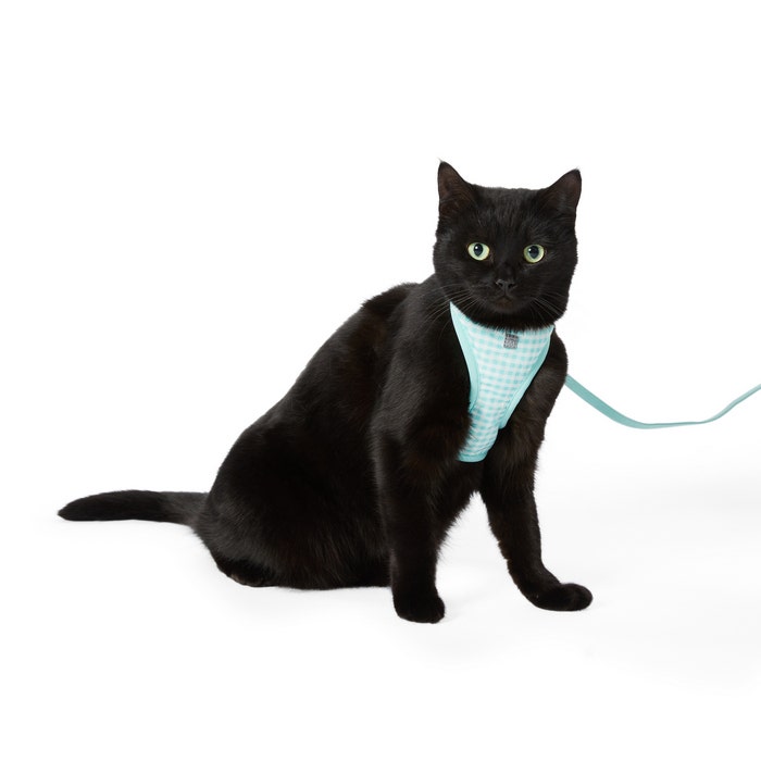 Good2go cat hot sale harness instructions
