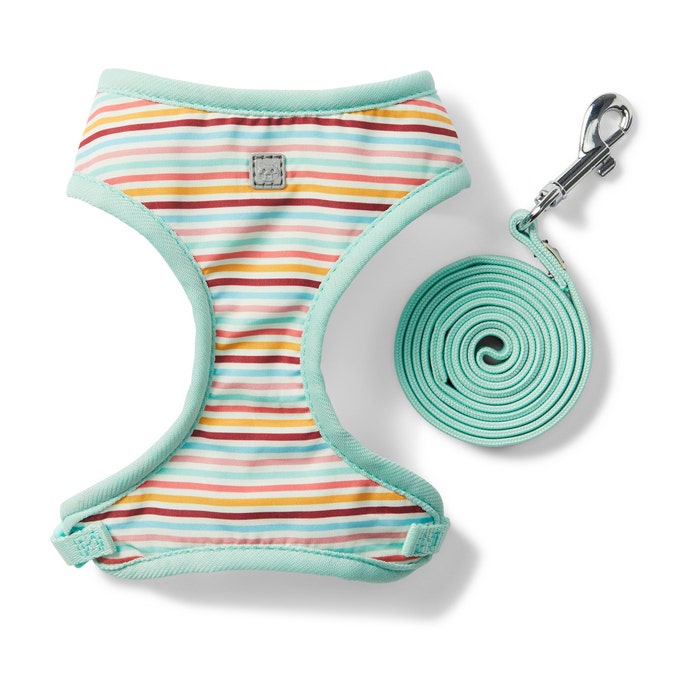 Petbarn cat harness discount