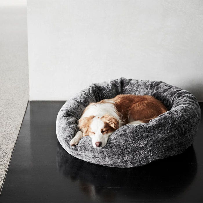 Snooza sales snuggler chinchilla