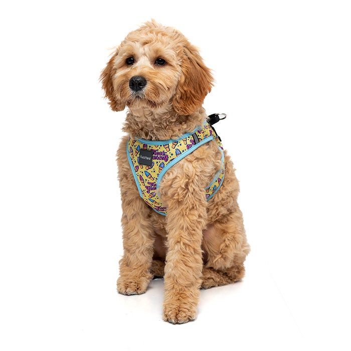 Dog life sales vest petbarn
