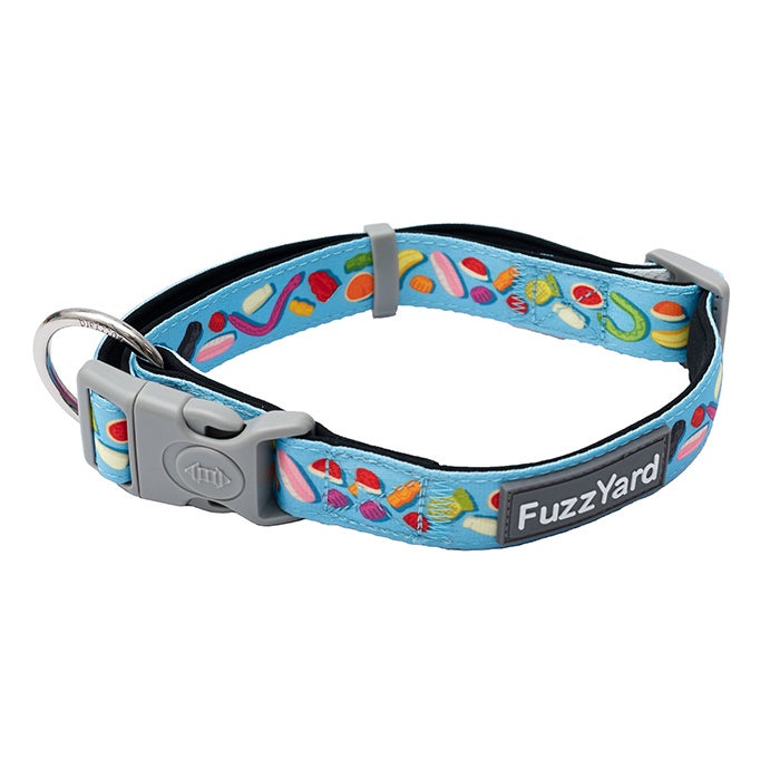 Martingale discount collar petbarn