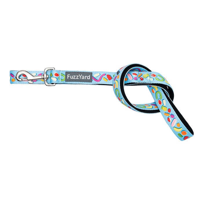 Petbarn retractable lead sales