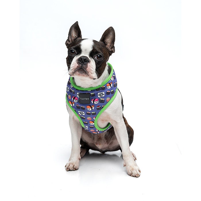 FuzzYard Love How You Roll Dog Harness Purple Petbarn