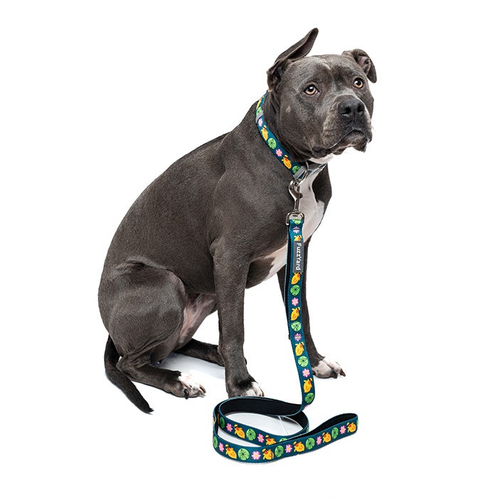 FuzzYard What s Quackalackin Dog Collar Green