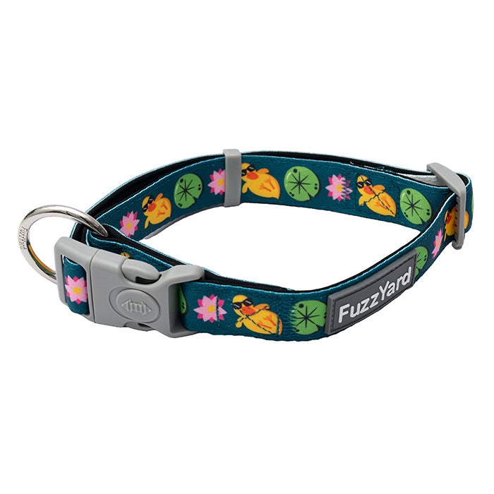 Petbarn dog collars online