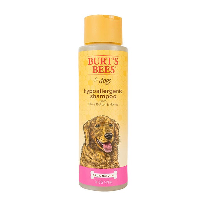 Petbarn dog shampoo top