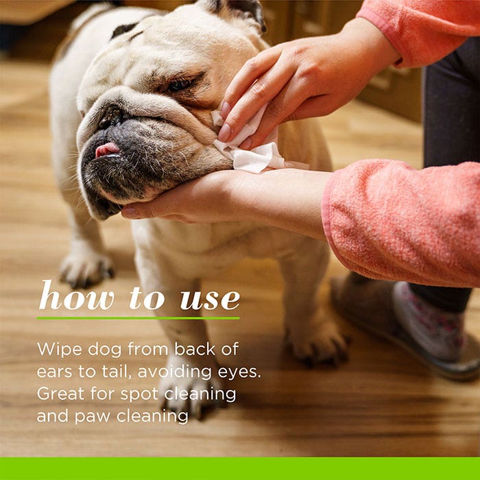 Burt's bees dog wipes top