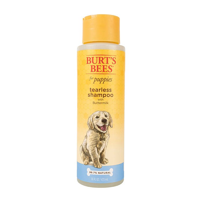 Burt's bees dry dog shampoo shop