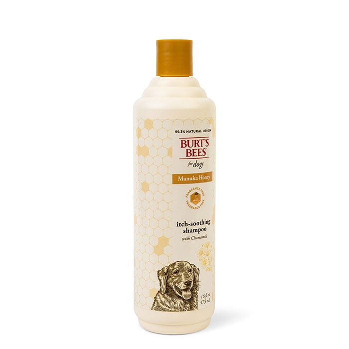 Dog shampoo petbarn sales