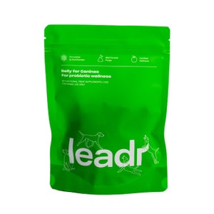 148491--LEADR-DG-SUPP-BLLY-PROBTC-120g_3.jpg