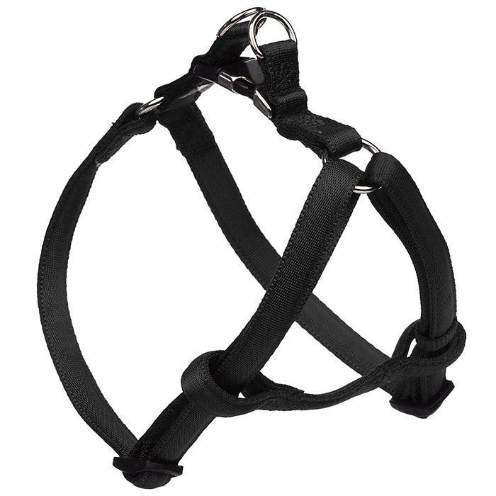 Petbarn deals car harness