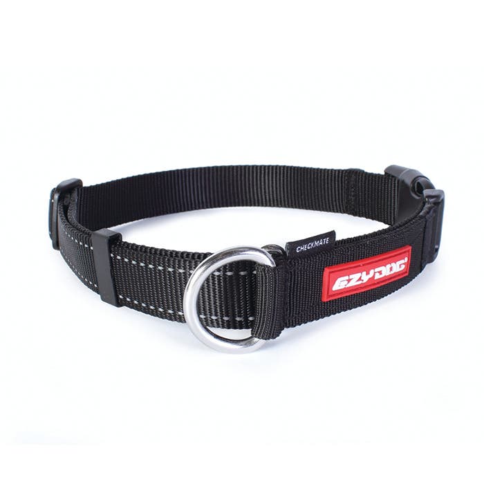 Martingale collar petbarn deals