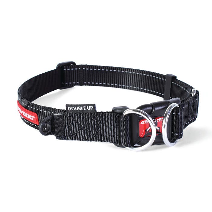 Petbarn dog shop leads