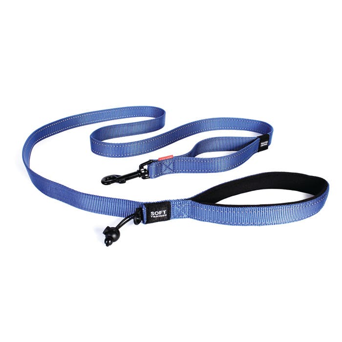 Electric dog clearance collar petbarn