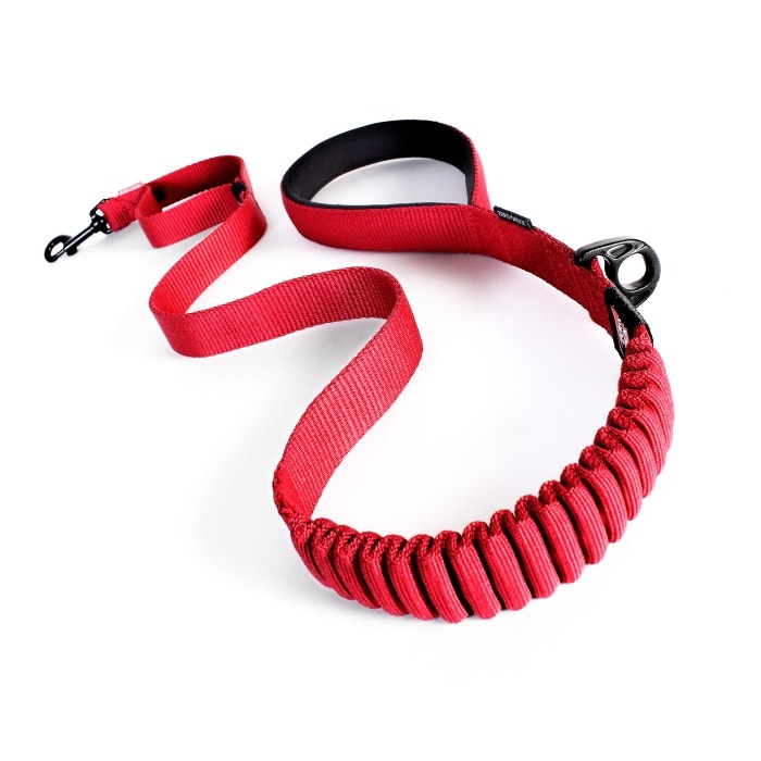 Anti shock store dog lead
