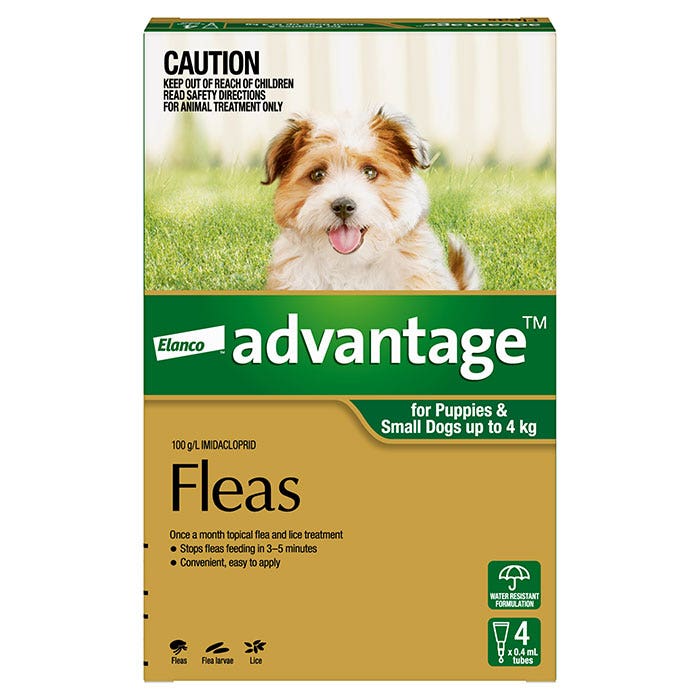 Petbarn flea shop treatment