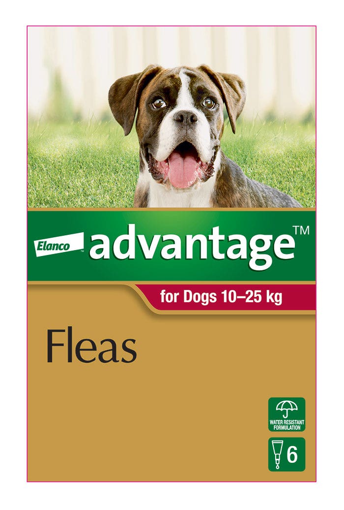 Flea collar top petbarn