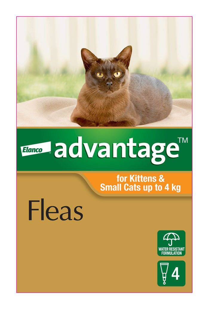 Advantage Orange For Small Cat