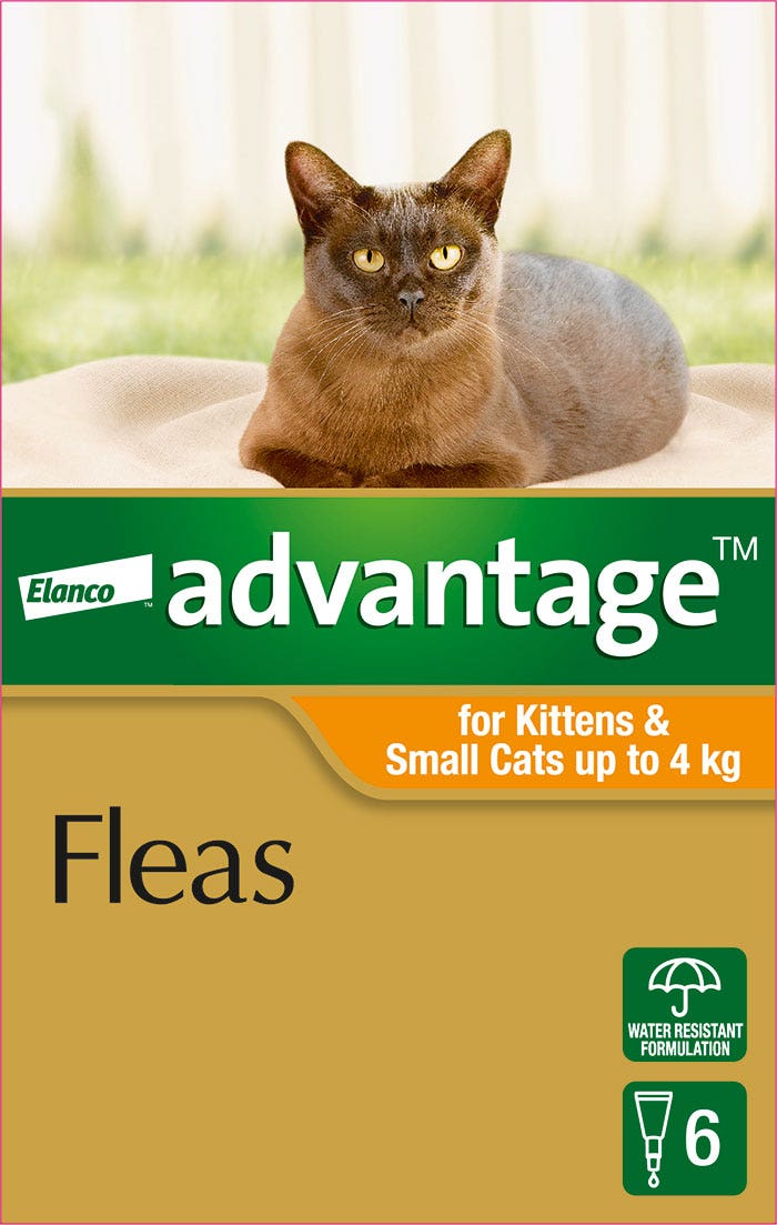 Petbarn flea treatment hot sale