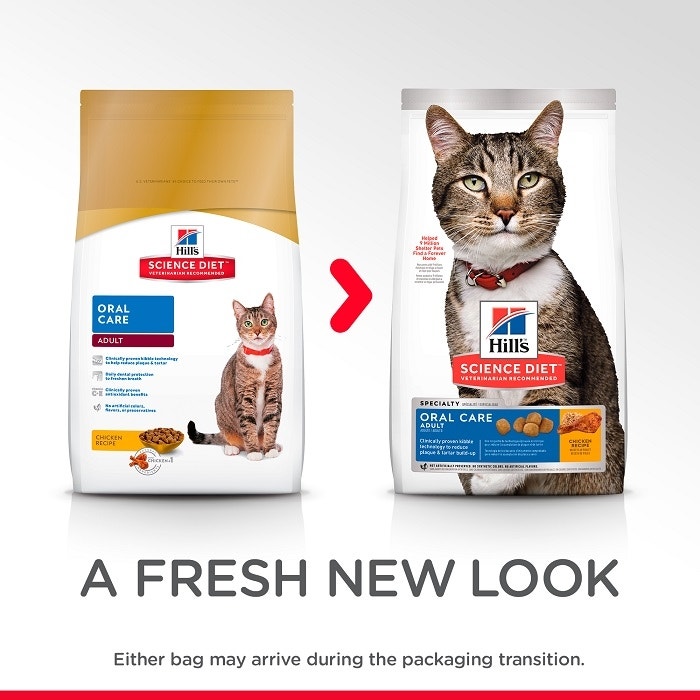 Science diet feline best sale oral care cat food