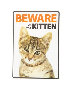Magnet & Steel Beware Of The Kitten