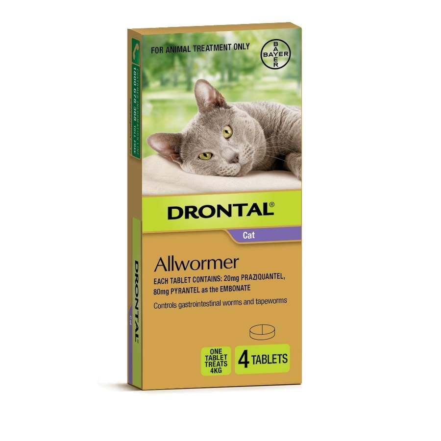 Drontal cat best sale dewormer