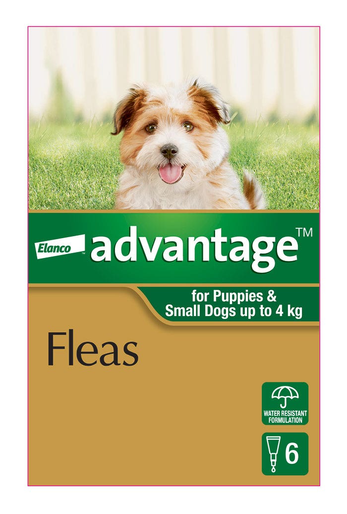 Petbarn flea treatment hot sale