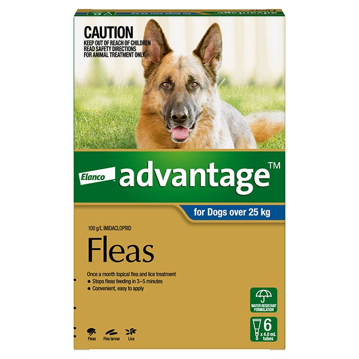 Petbarn flea treatment new arrivals