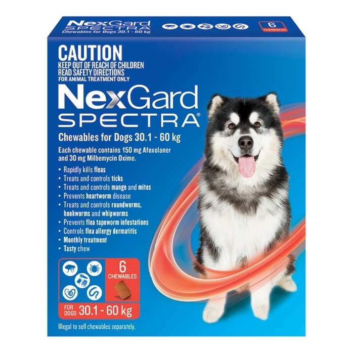 Dog best sale nappies petbarn