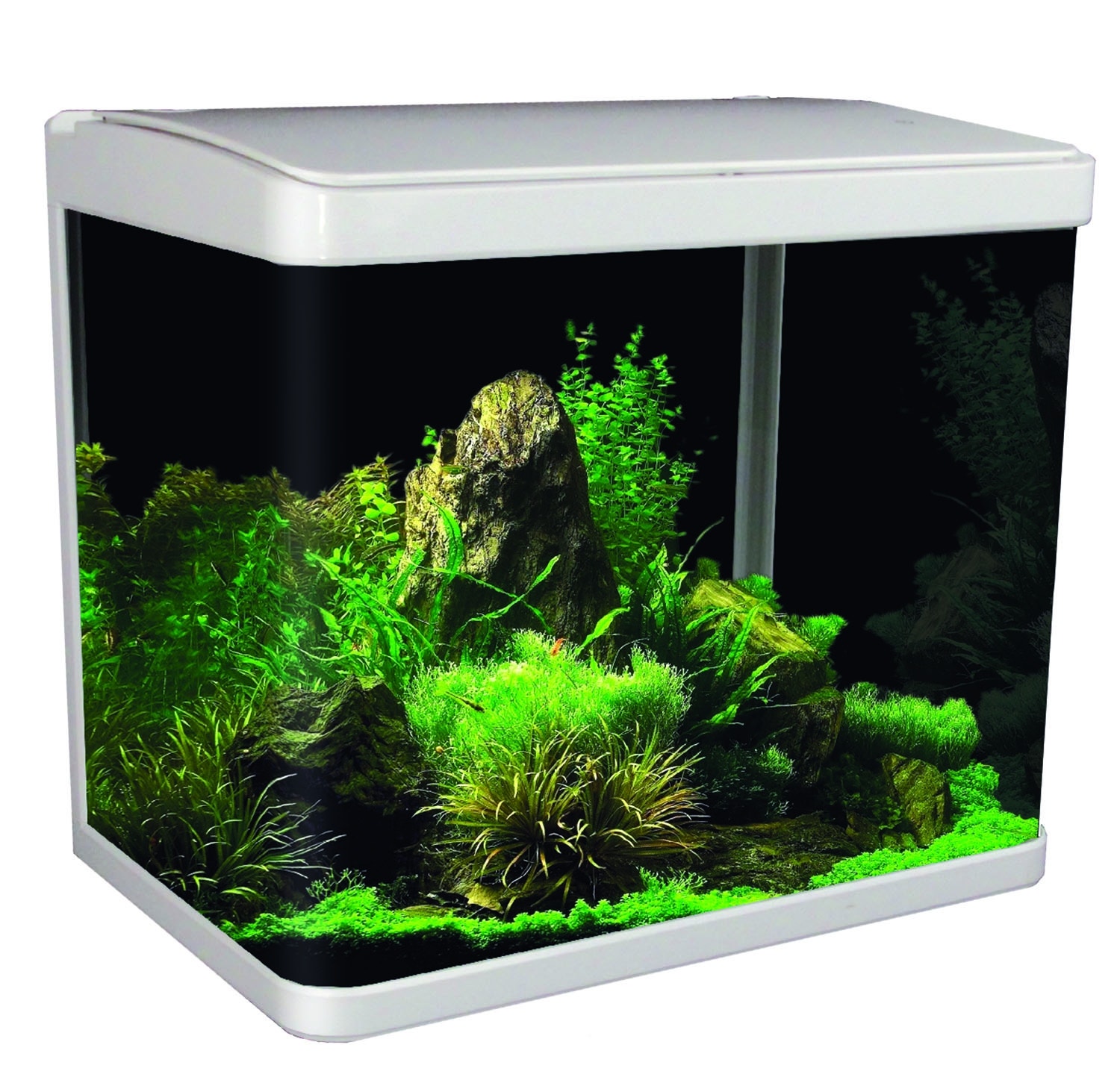 Aqua One Lifestyle Glass Aquarium White 29L