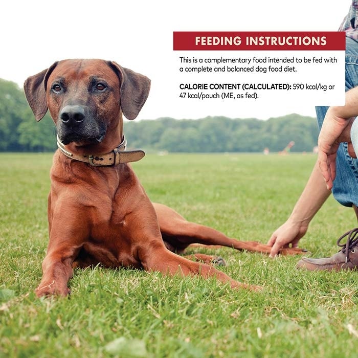 Wellness core puppy feeding outlet guide