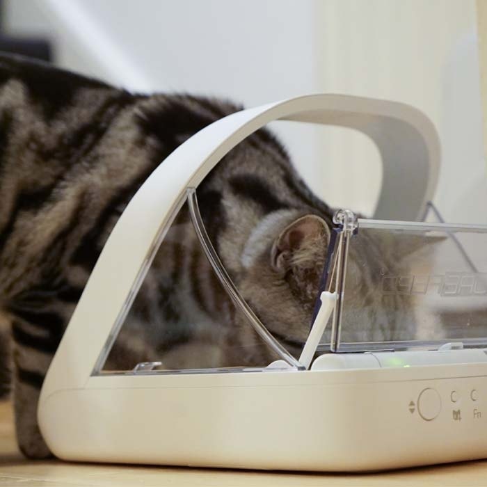SureFeed Cat Feeder Bowl Blue Petbarn