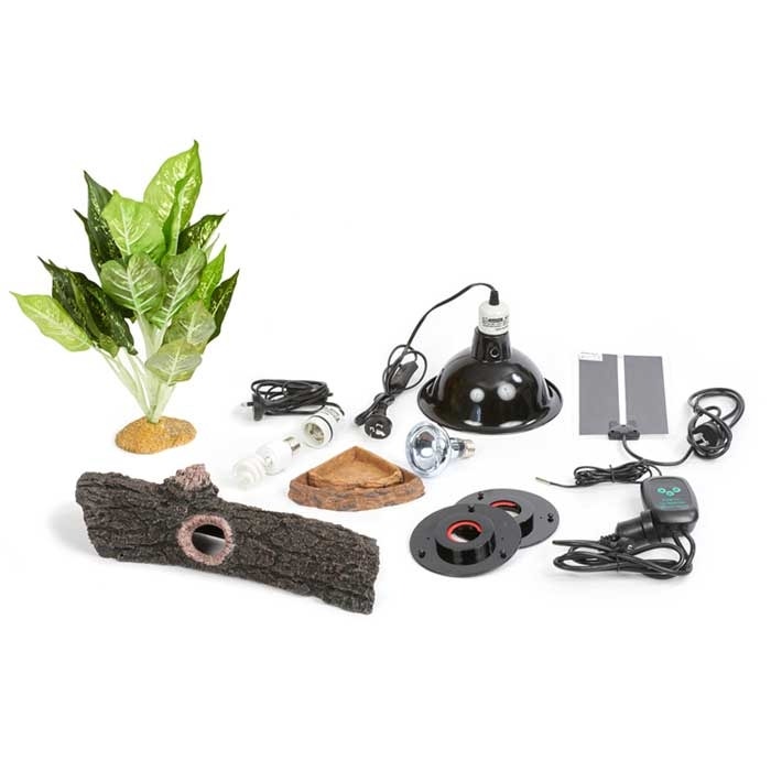 Blue tongue 2025 skink kit