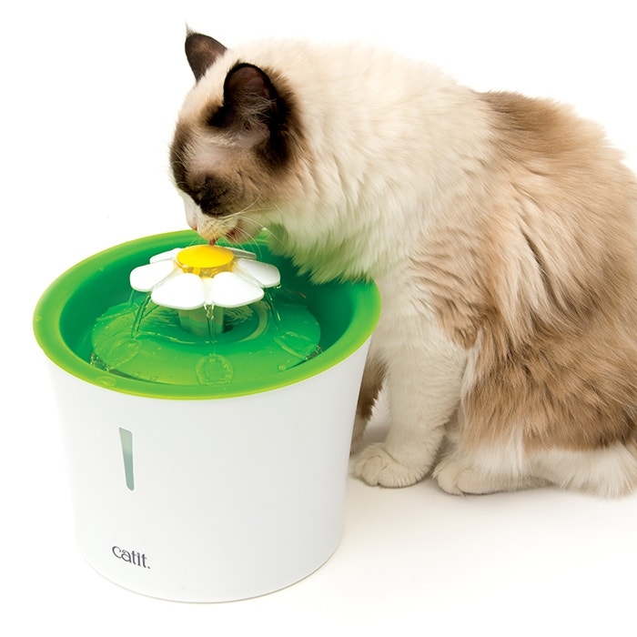 Catit Cat Flower Fountain Petbarn
