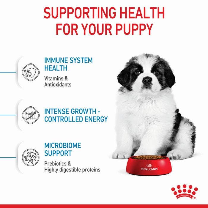 Puppy giant deals