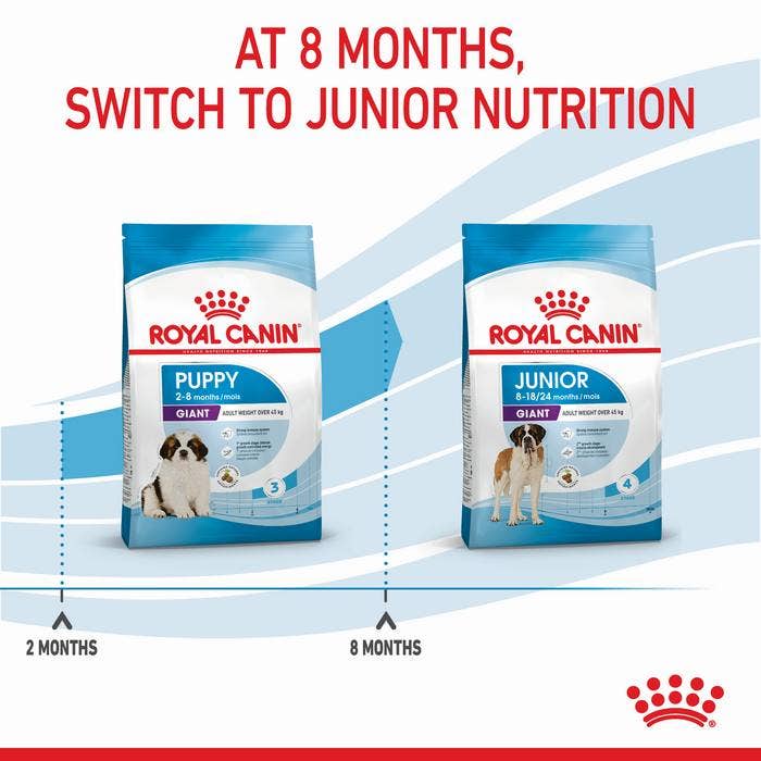 15kg royal canin top dog food