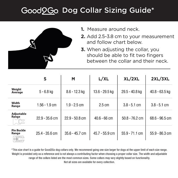 Dog collar shop medium size