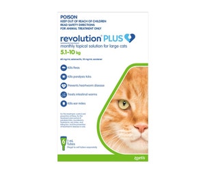 Revolution Plus Large Cat Flea,Tick & Worm Pipette 6 Pack