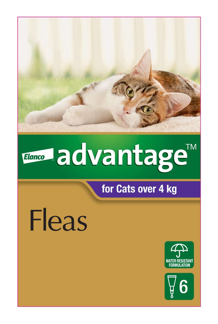 Advantage Purple For Large Cat Petbarn