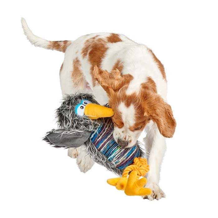 Big bird shop dog toy