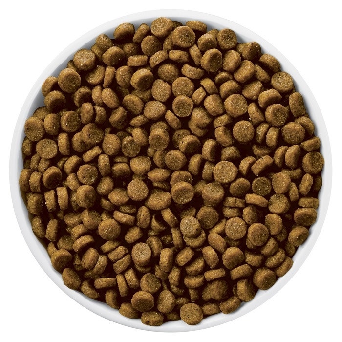 Kd dry cat food shop