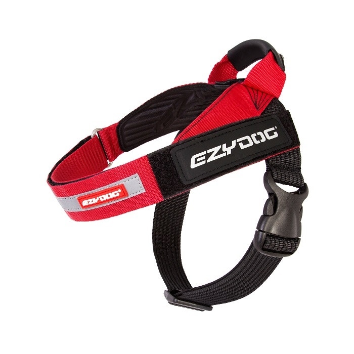 Petbarn dog shop leads