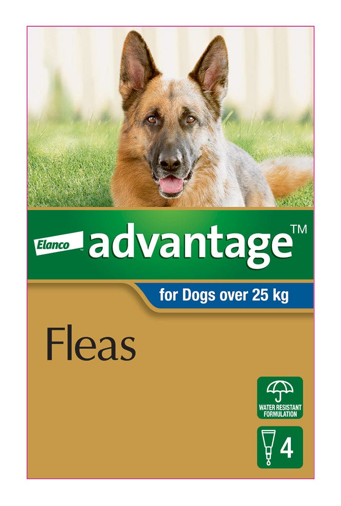 Advantage blue for dogs top