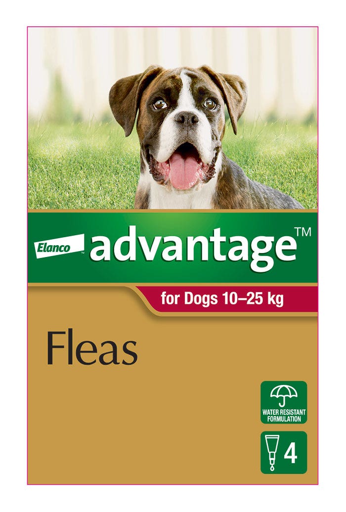 Advantage flea large dog hotsell