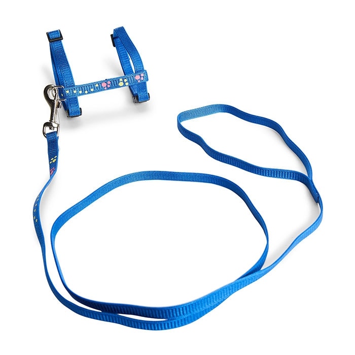Cat harness animates clearance