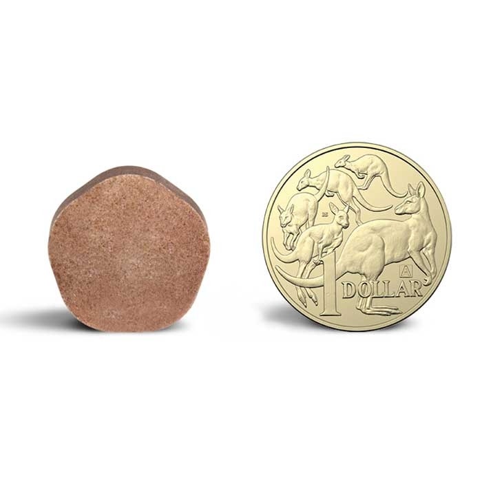 Simparica large dog 2025