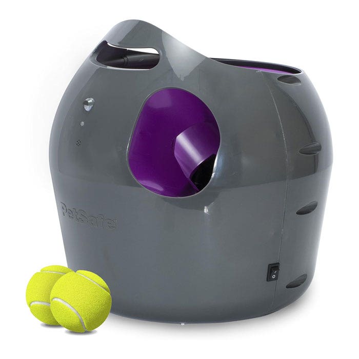 Auto fetch store for dogs