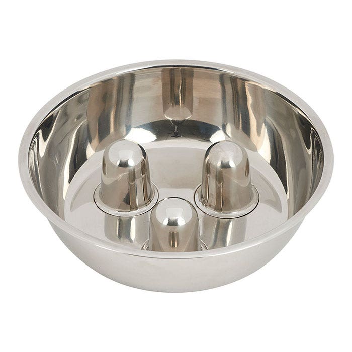 Best stainless steel slow feed dog bowl 2025